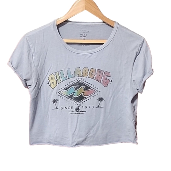 Billabong Tops - Billabong Vintage Vibe Crop Top Tee S Surf Skater Festival Cali